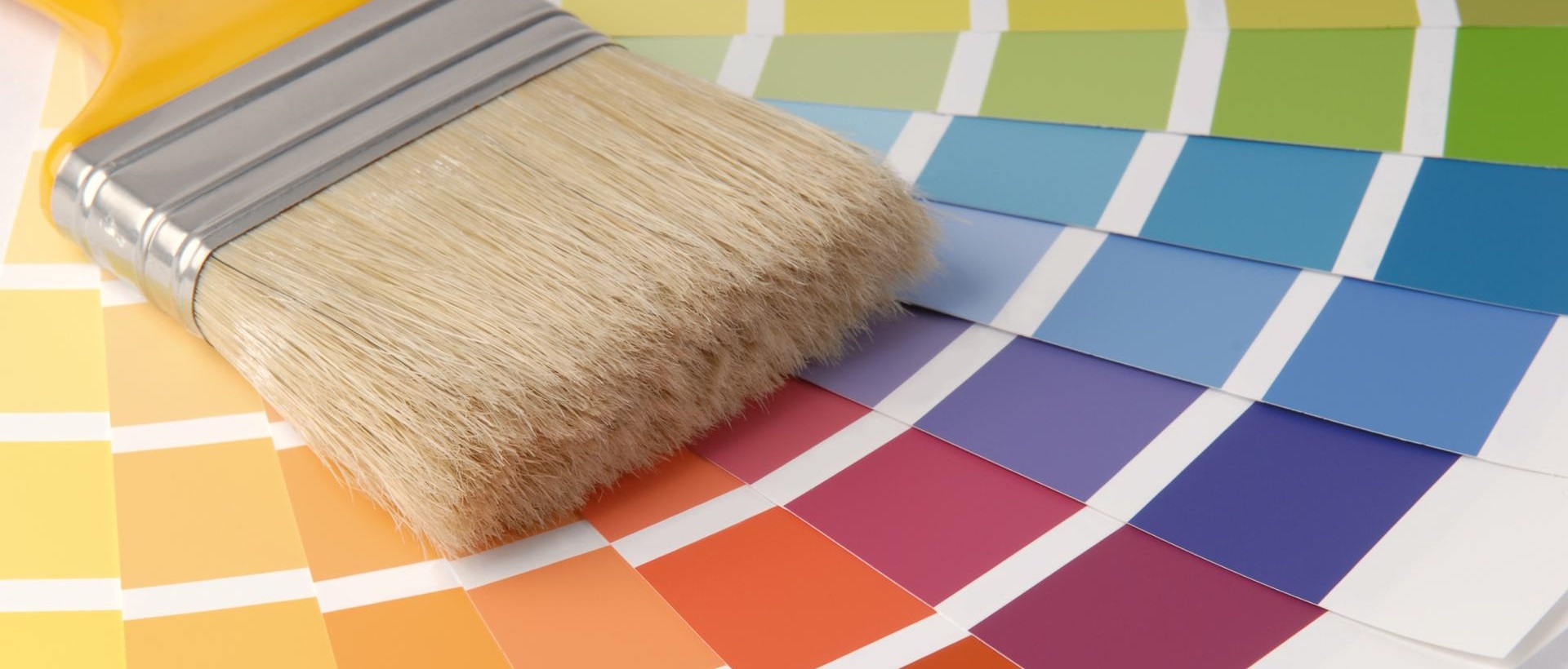 Painter N11